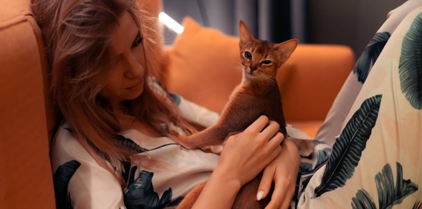 İzmir Veteriner Kliniği Seçiminde Dikkat Edilmesi Gerekenler