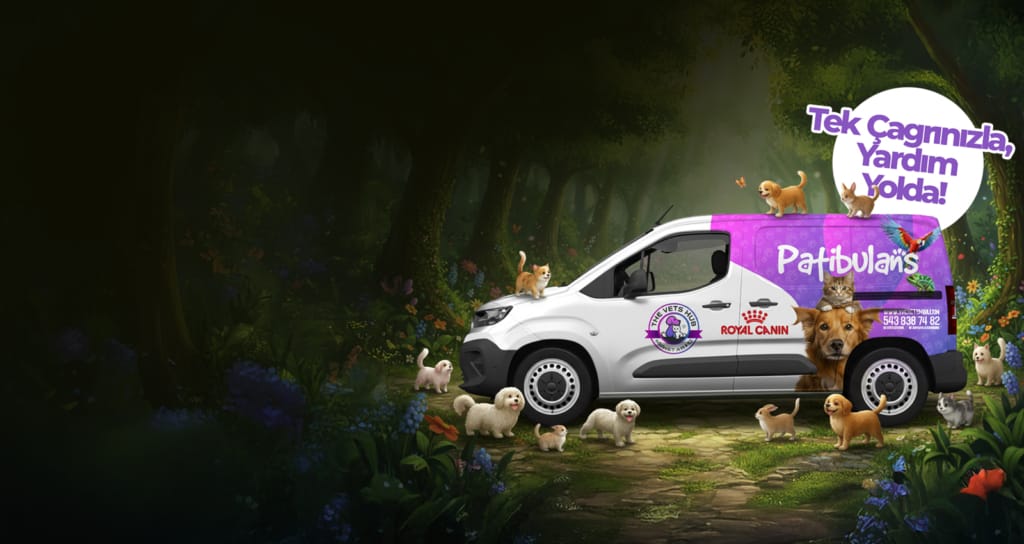 Pet Ambulans - The Vets Hub İzmir