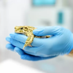 Egzotik Hayvan Veterineri