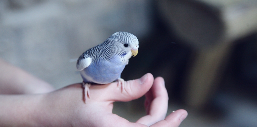 Blog thumbnail