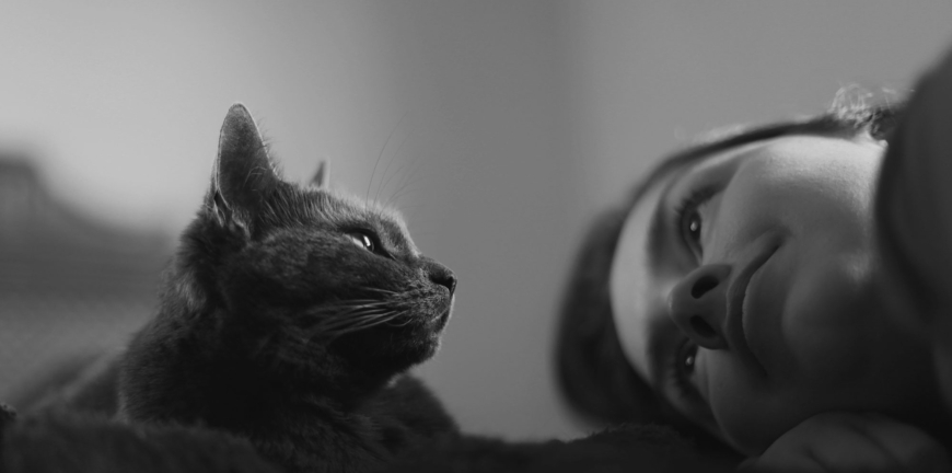 Blog thumbnail