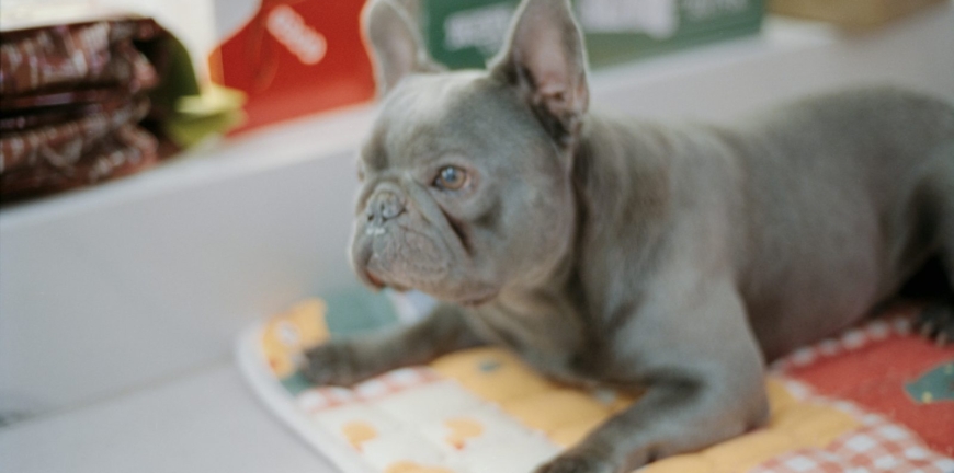 Blog thumbnail
