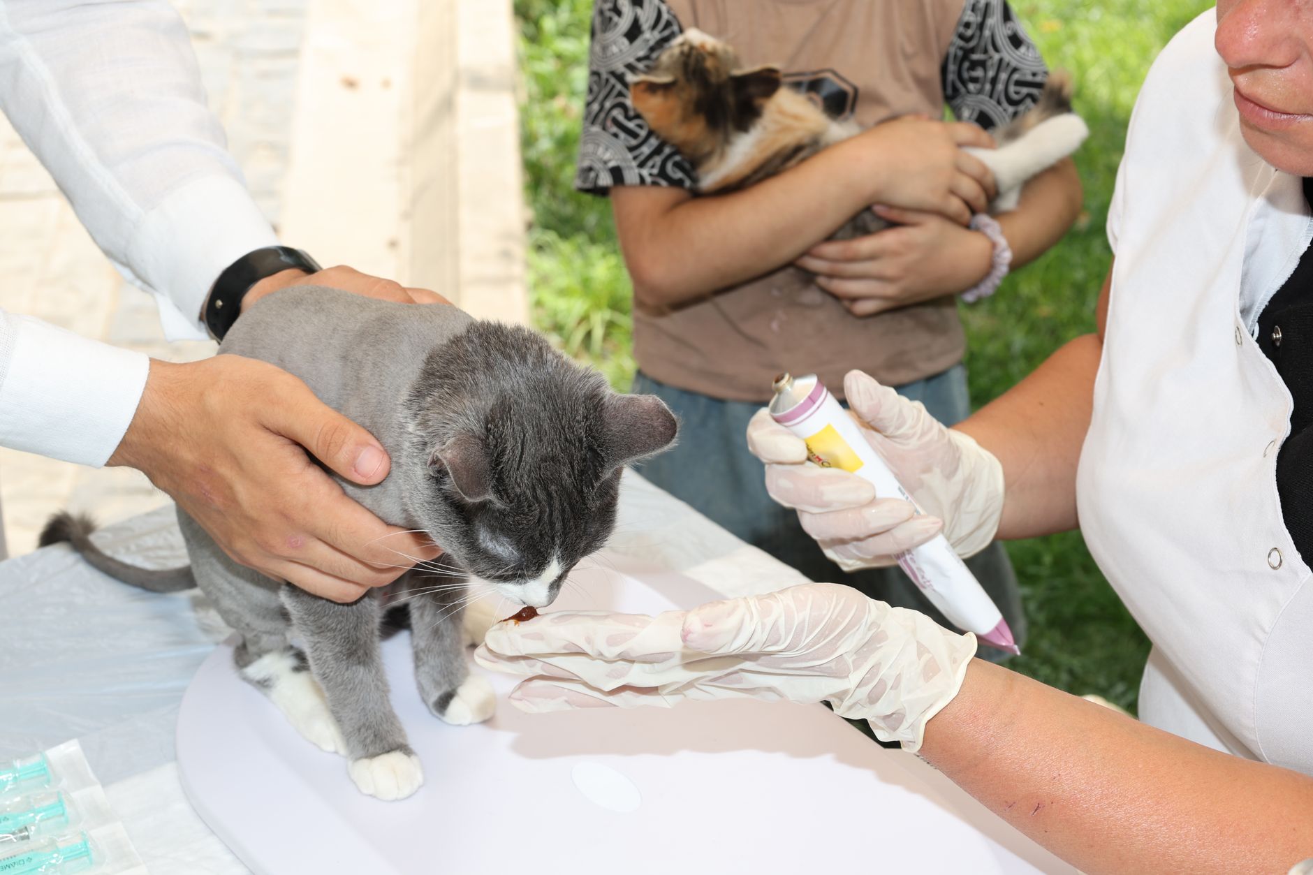 İzmir Acil Veteriner Hizmetleri: / Yanınızda