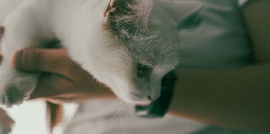 Blog thumbnail