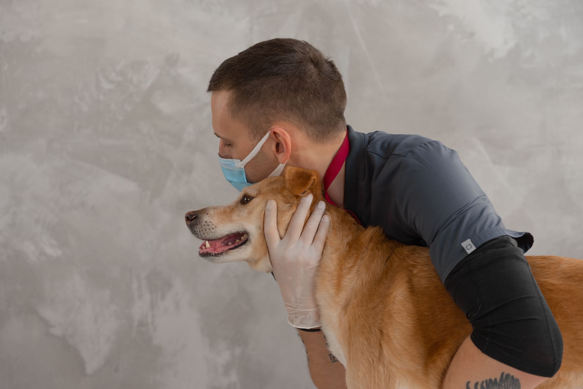 Yelki'de Modern Veterinerlik Uygulamaları