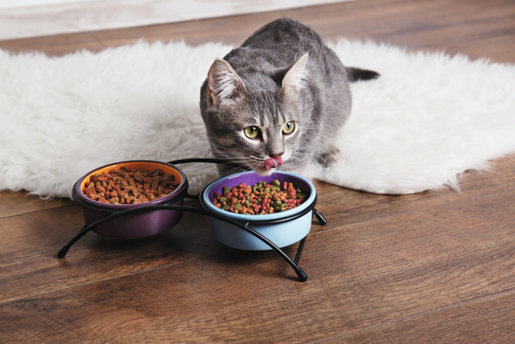 Kedi Ürünleri - The Vets Hub Petshop