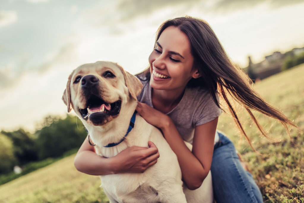 Köpek Hastalıkları - The Vets Hub İzmir Veteriner