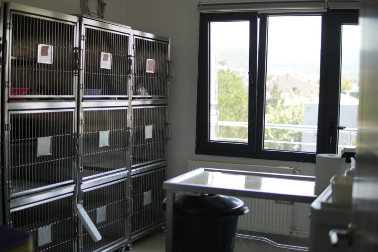 The Vets Hub kliniğimiz