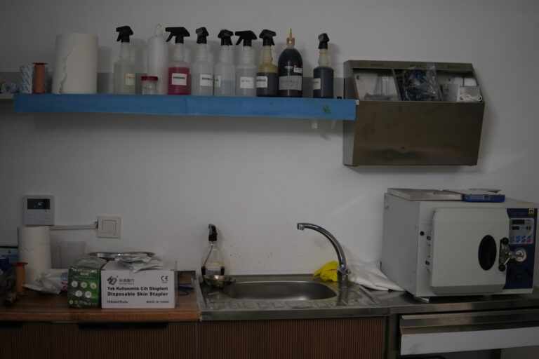 The Vets Hub - Sterilizasyon alanı