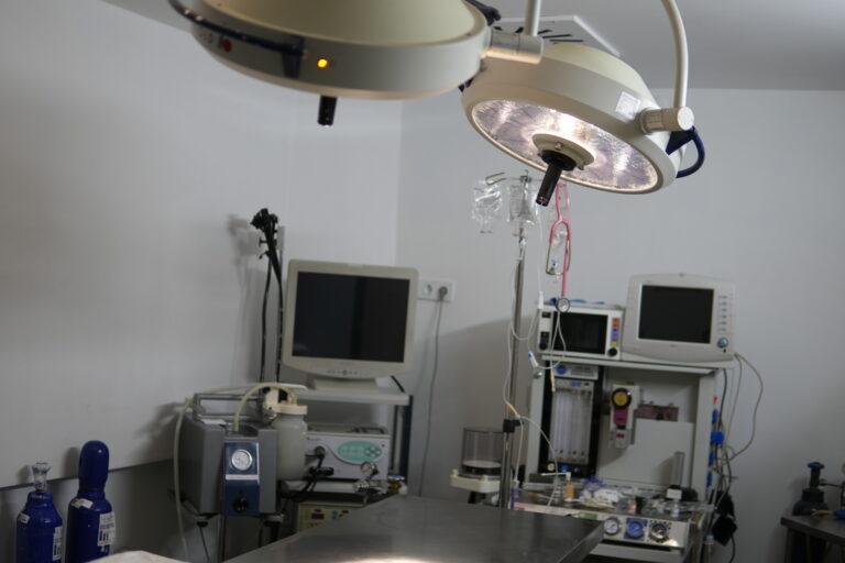 The Vets Hub - Operasyon salonu