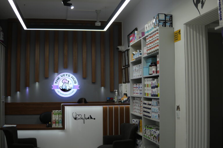The Vets Hub karşılama alanı