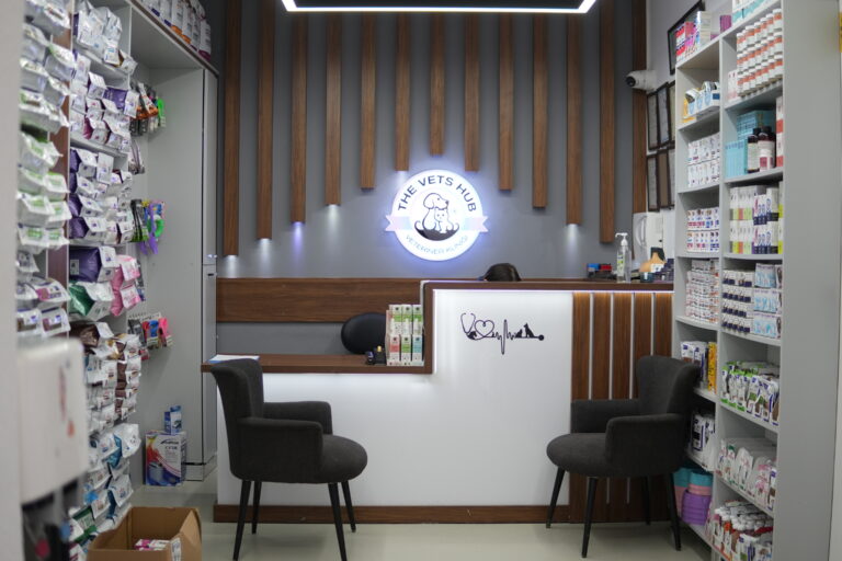 The Vets Hub - Karşılama alanımız
