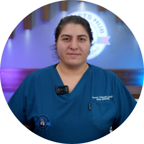 Dilan Ergür - Uzman Veteriner Cerrah