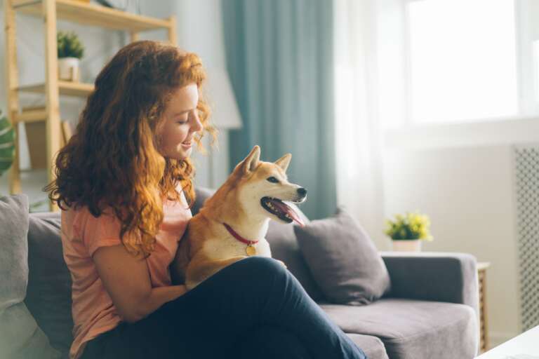 The Vets Hub - Sağlıklı ve mutlu
